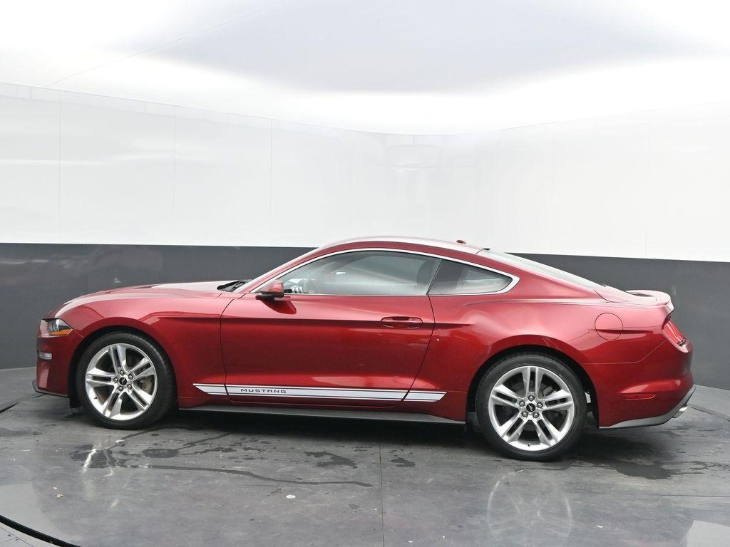 used 2019 Ford Mustang car, priced at $22,998