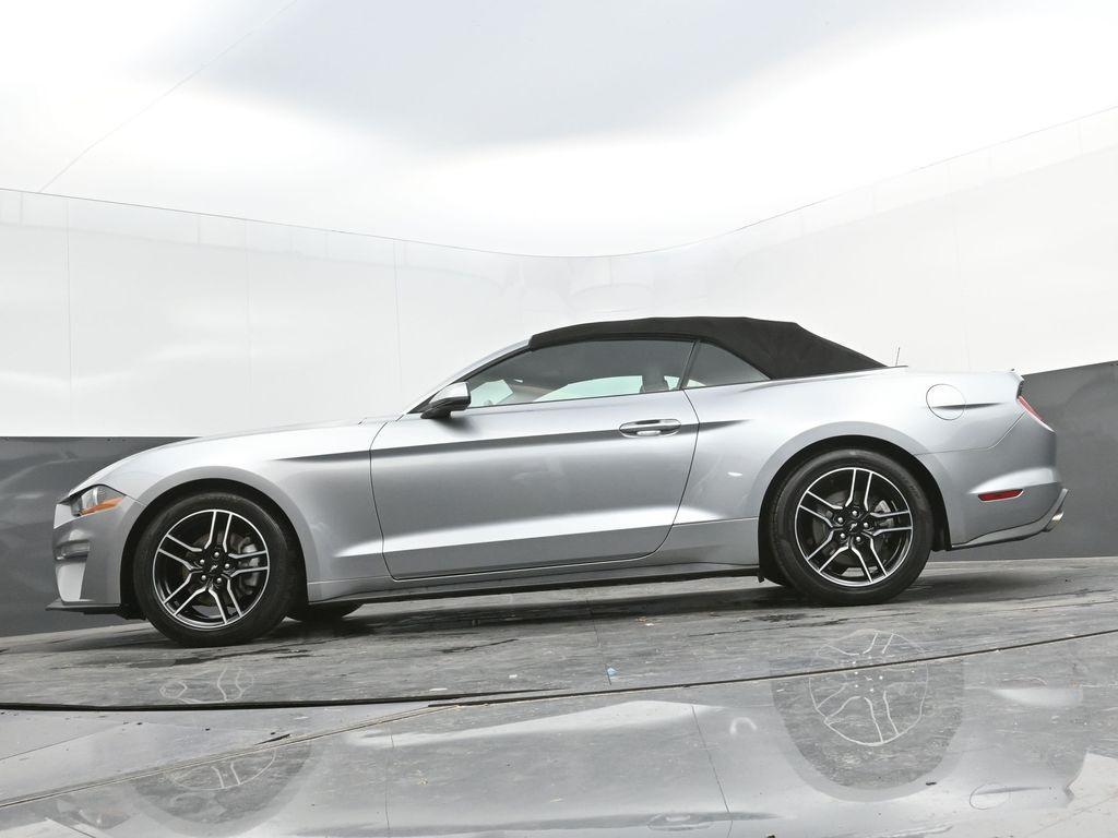 used 2021 Ford Mustang car, priced at $24,499