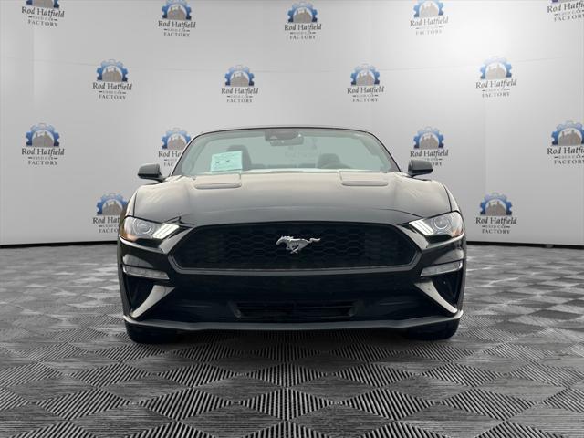 used 2023 Ford Mustang car, priced at $24,449