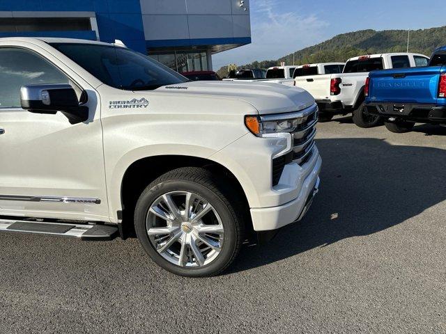 new 2025 Chevrolet Silverado 1500 car, priced at $65,335