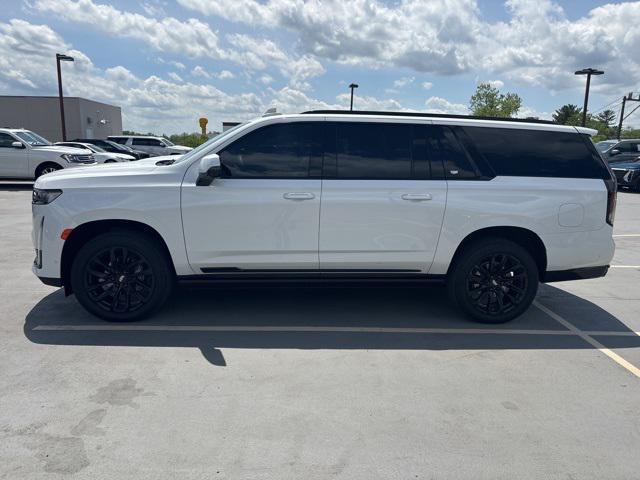 used 2024 Cadillac Escalade ESV car, priced at $107,000