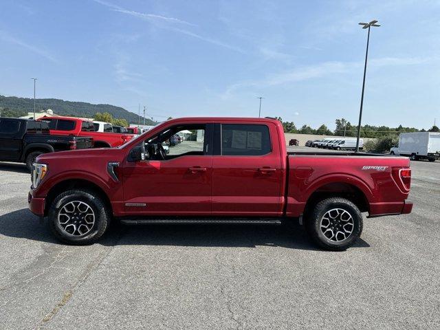 used 2021 Ford F-150 car, priced at $31,799