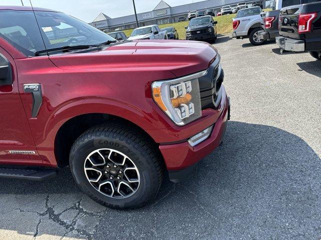 used 2021 Ford F-150 car, priced at $31,799