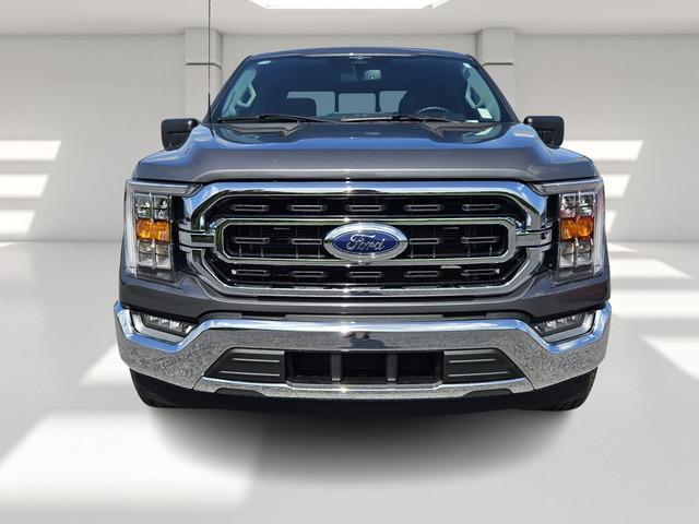 used 2023 Ford F-150 car, priced at $39,709