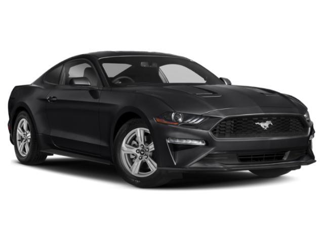 used 2018 Ford Mustang car