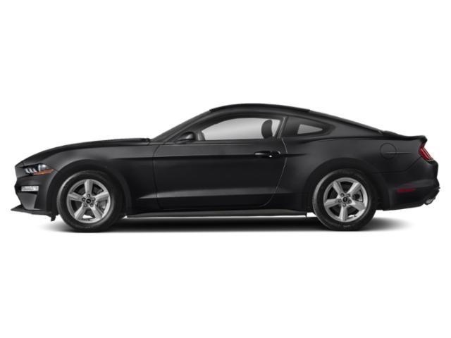 used 2018 Ford Mustang car