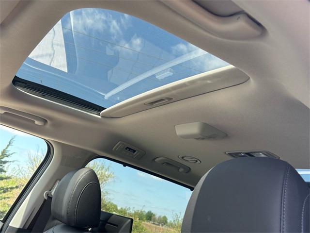 new 2025 Kia Carnival car