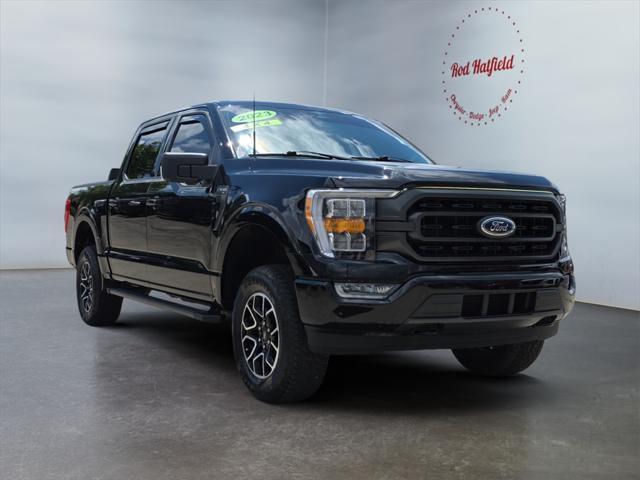 used 2023 Ford F-150 car, priced at $39,988