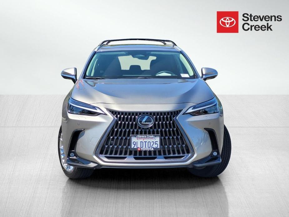 used 2024 Lexus NX 350 car, priced at $50,900