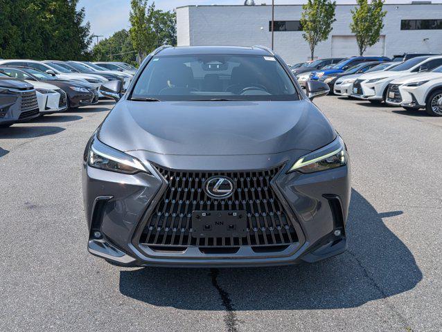 used 2022 Lexus NX 350 car