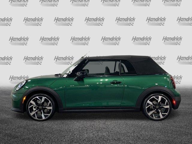 new 2025 MINI Convertible car, priced at $43,510