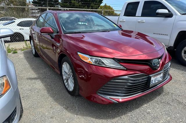 used 2019 Toyota Camry Hybrid car