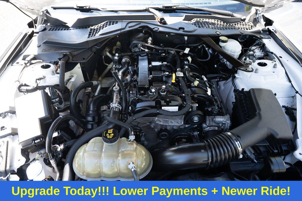 used 2021 Ford Mustang car, priced at $21,500