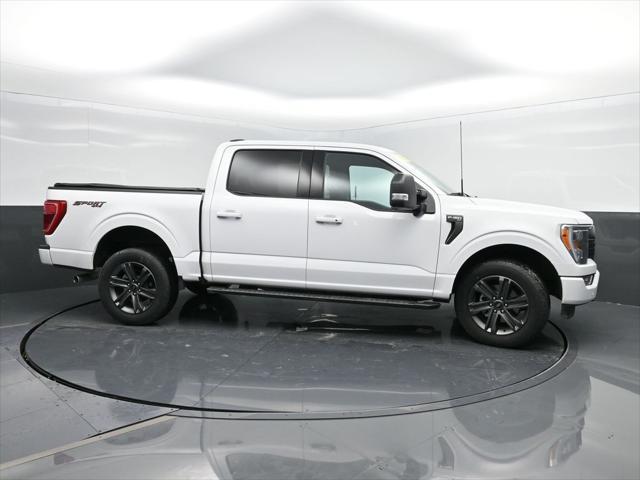 used 2023 Ford F-150 car, priced at $41,970