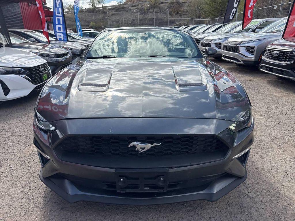 used 2019 Ford Mustang car, priced at $14,995