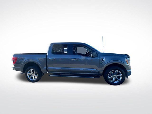 used 2021 Ford F-150 car, priced at $37,500