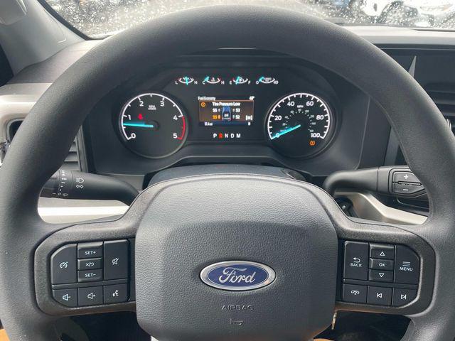 new 2025 Ford F-250 car, priced at $72,315