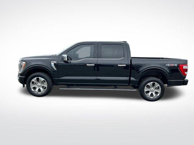 used 2023 Ford F-150 car, priced at $52,500