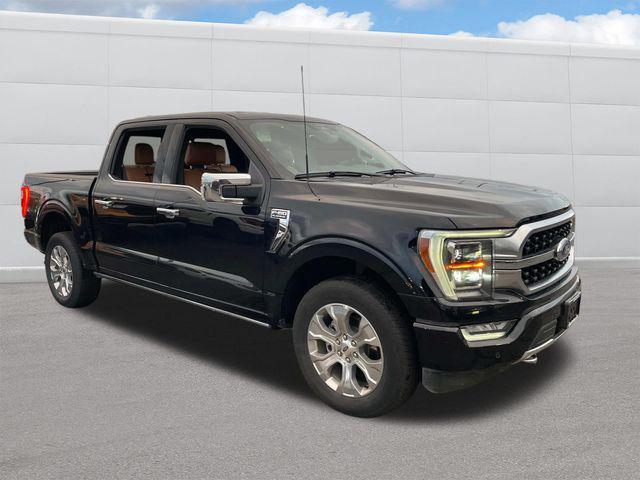 used 2023 Ford F-150 car, priced at $52,990