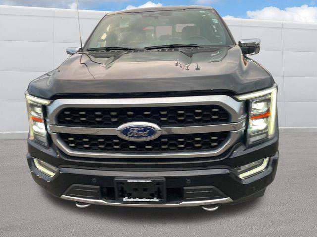 used 2023 Ford F-150 car, priced at $52,990