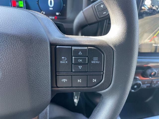 new 2025 Ford F-150 car, priced at $49,262