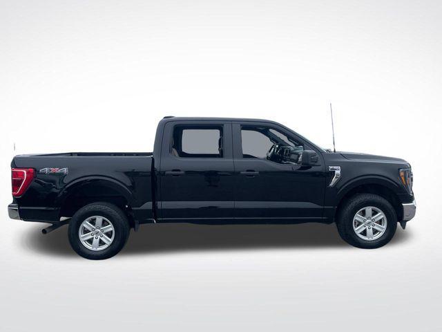 used 2023 Ford F-150 car, priced at $38,400