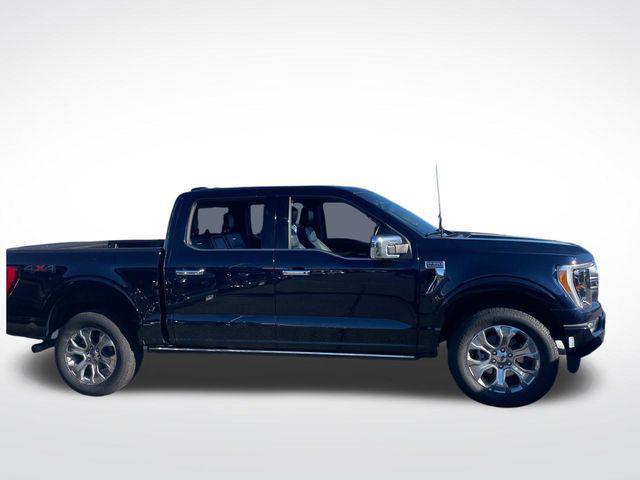 used 2023 Ford F-150 car, priced at $53,500