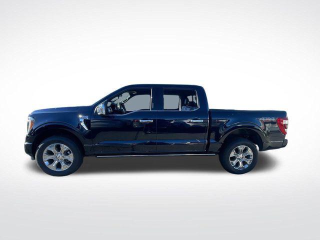 used 2023 Ford F-150 car, priced at $53,500