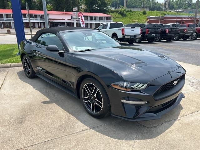 used 2023 Ford Mustang car, priced at $25,990