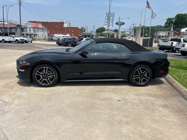 used 2023 Ford Mustang car, priced at $25,990