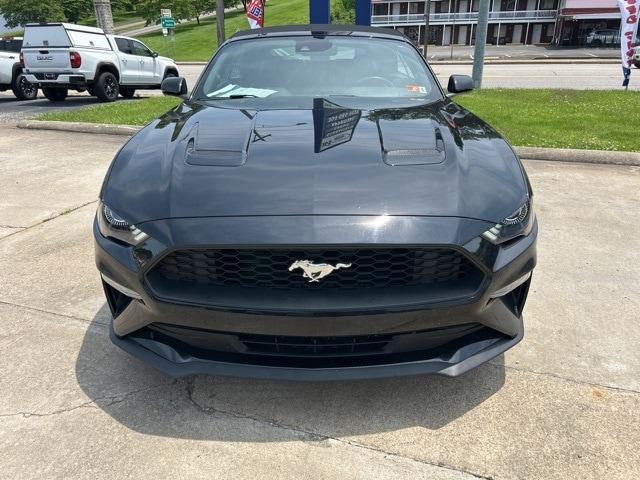 used 2023 Ford Mustang car, priced at $25,990
