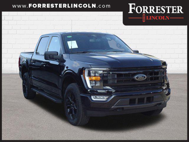 used 2023 Ford F-150 car, priced at $55,900