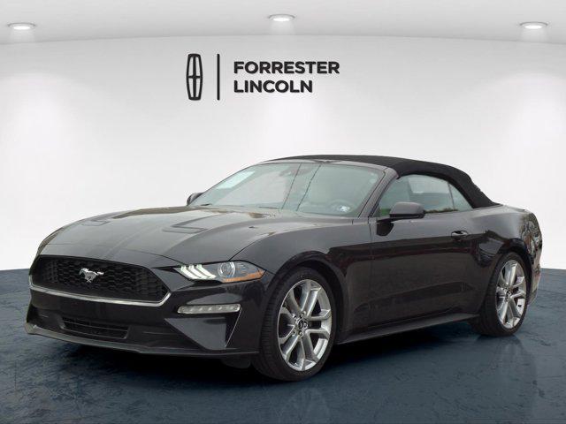 used 2022 Ford Mustang car, priced at $23,900