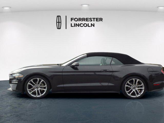 used 2022 Ford Mustang car, priced at $23,900