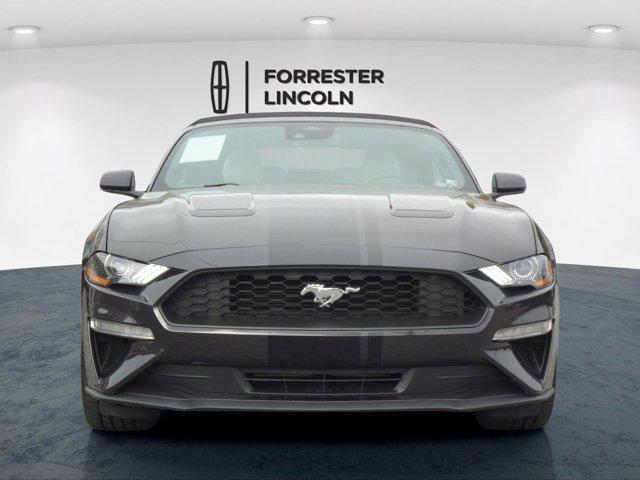 used 2022 Ford Mustang car, priced at $23,900