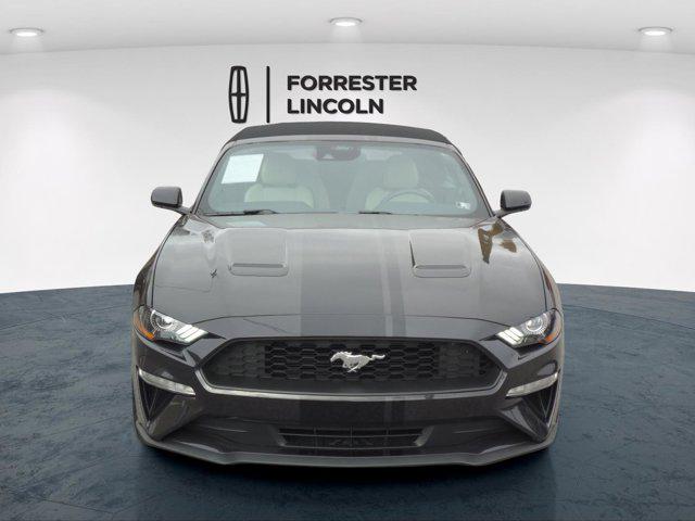 used 2022 Ford Mustang car, priced at $23,900