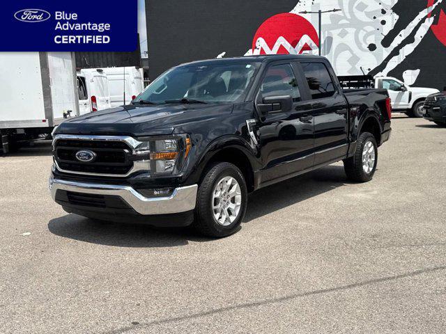 used 2023 Ford F-150 car, priced at $32,700