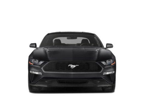 used 2019 Ford Mustang car, priced at $18,500