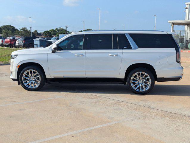 used 2023 Cadillac Escalade ESV car, priced at $69,302