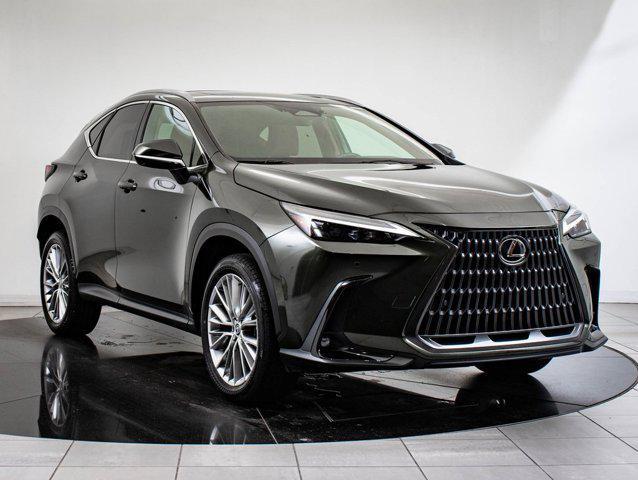 used 2025 Lexus NX 350h car, priced at $52,998