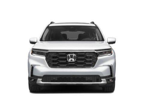 used 2023 Honda Pilot car