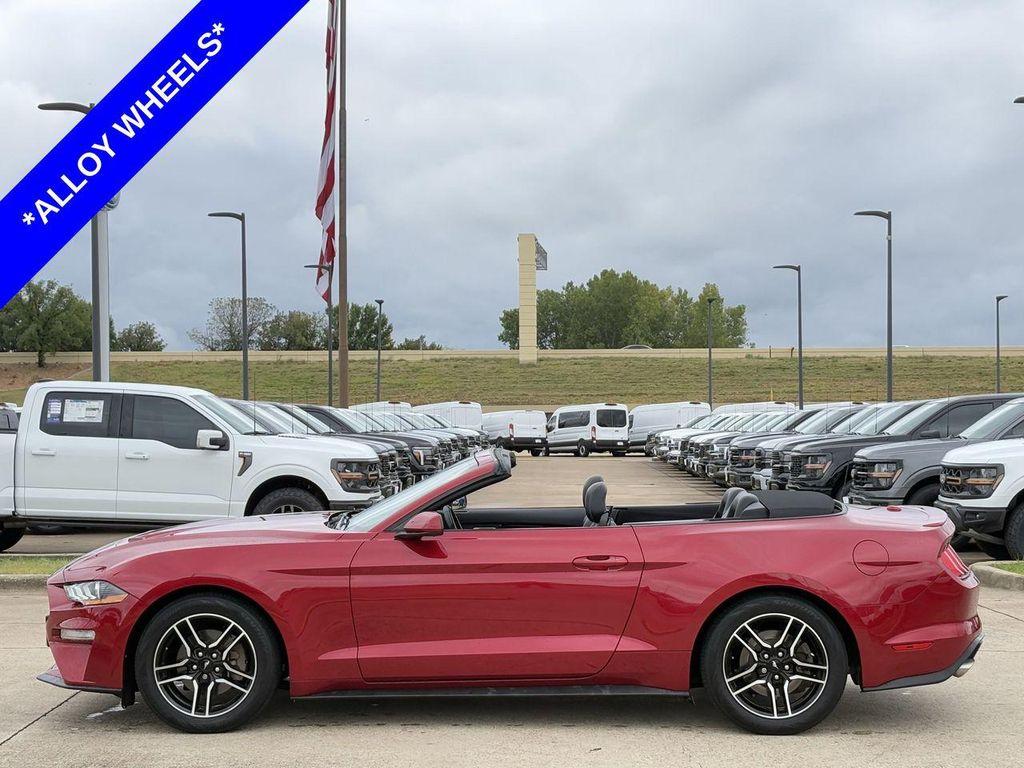 used 2022 Ford Mustang car, priced at $19,999