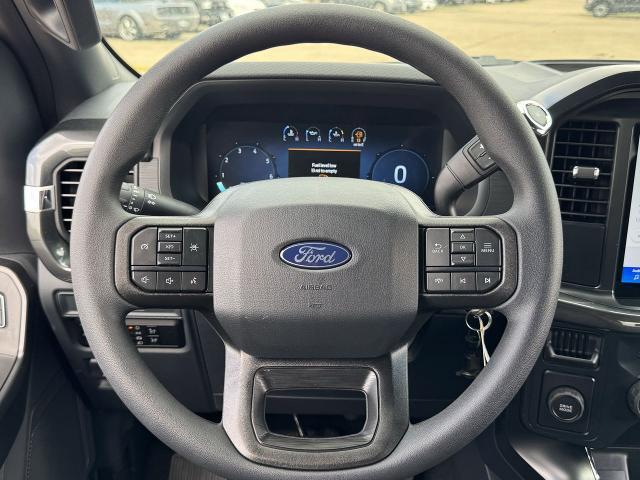 new 2025 Ford F-150 car, priced at $41,007