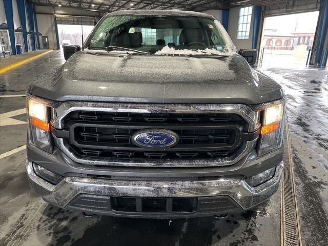 used 2023 Ford F-150 car