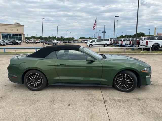 used 2023 Ford Mustang car