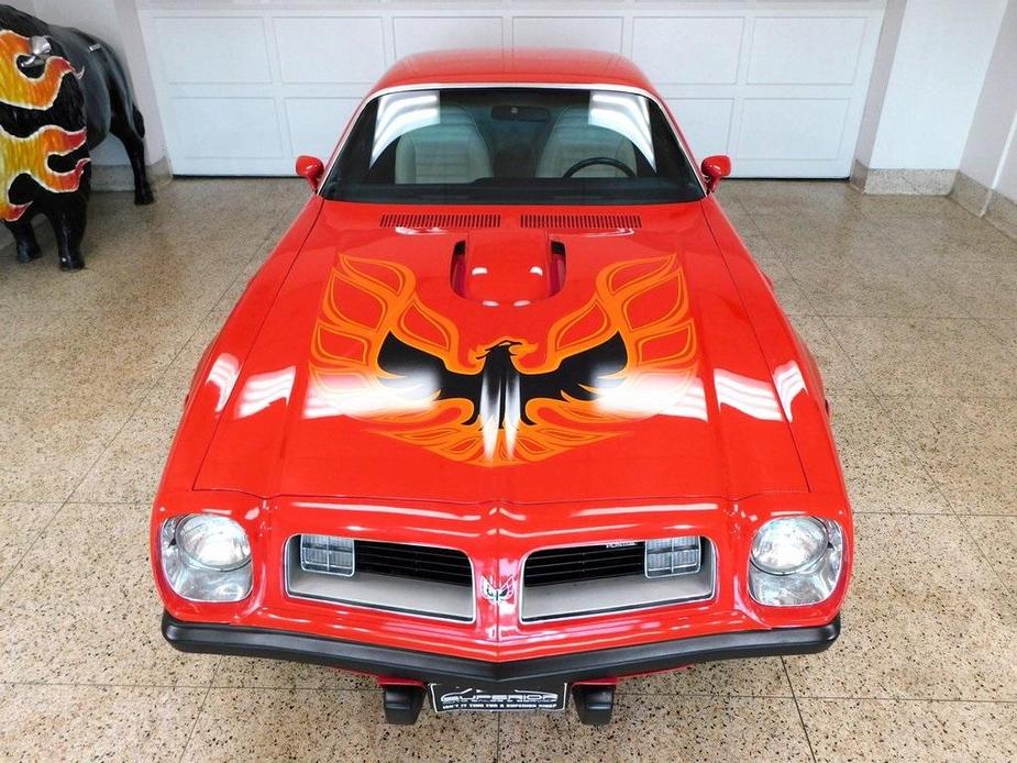 used 1975 Pontiac Firebird car, priced at $65,900