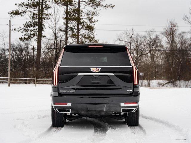 new 2025 Cadillac Escalade car, priced at $101,790