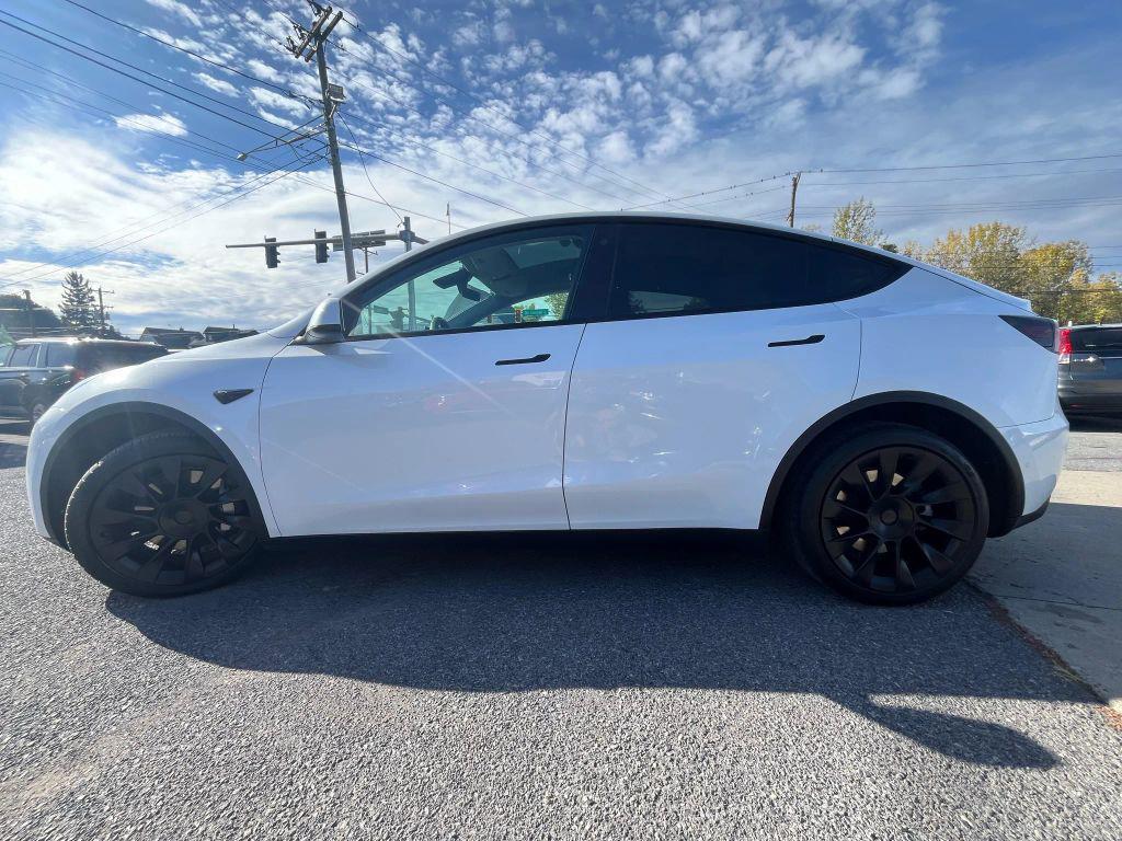 used 2021 Tesla Model Y car, priced at $20,888