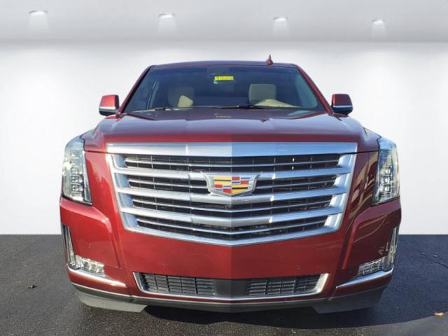 used 2019 Cadillac Escalade car, priced at $39,900