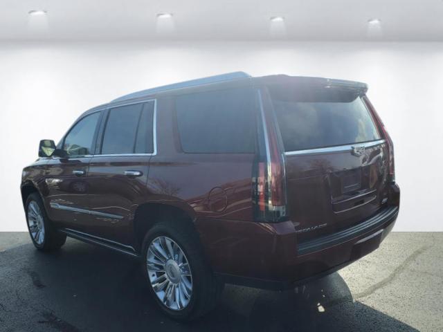 used 2019 Cadillac Escalade car, priced at $39,900